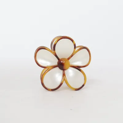 Pince à cheveux (Blanc, Marron)