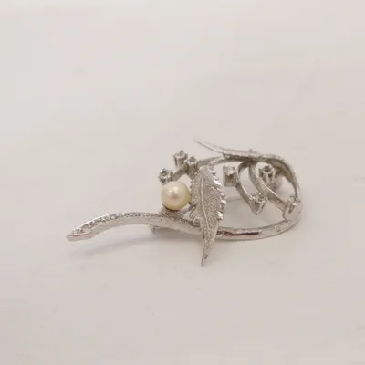 Broche (Zilver) Onbekend materiaal