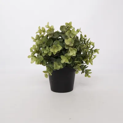 Konstgjord växt (Svart, Grön) från IKEA