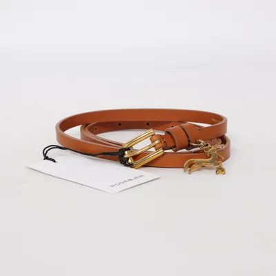 Riem (Bruin) van Rodebjer Leer