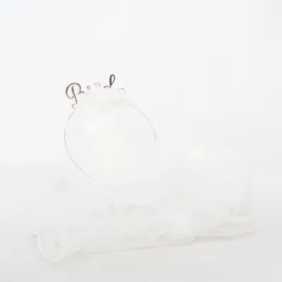 Voile de mariée (Blanc)