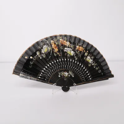 Fan (Zwart)