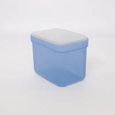 Lunch box (Blue, Transparent) from Tupperware