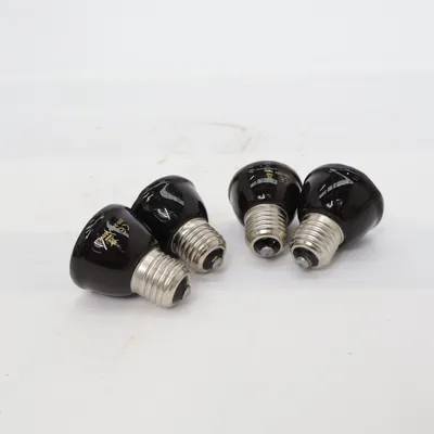 Accessoire pour animaux de compagnie (Noir)