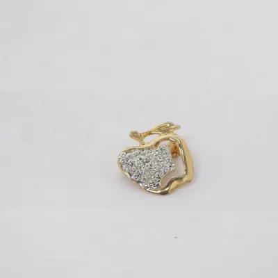 Broche (Or, Argent) Métal inconnu