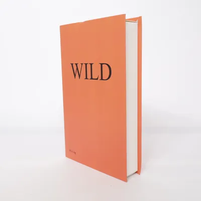 Woondecoratie (Oranje, Zwart)