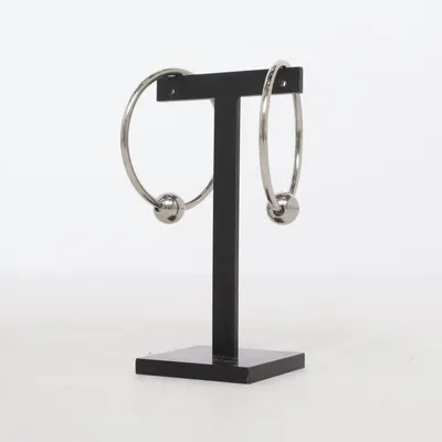 Oorbellen (Zilver) Titanium