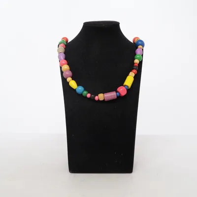 Necklace (Multicolored) Plastic