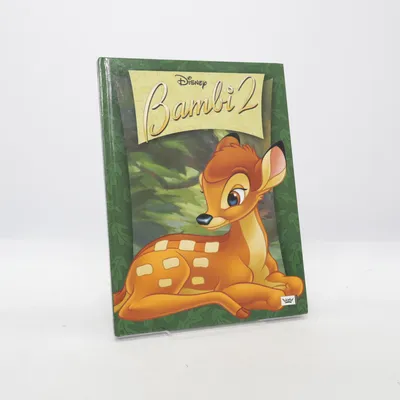 Kinderboek