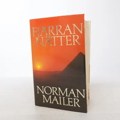 Bok från Bokförlaget Semic