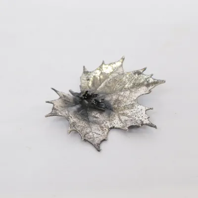 Brosch (Silverfärgad) Okänd metall
