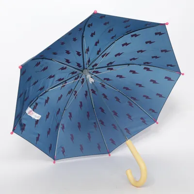 Umbrella (Blue, Pink) from Hatley