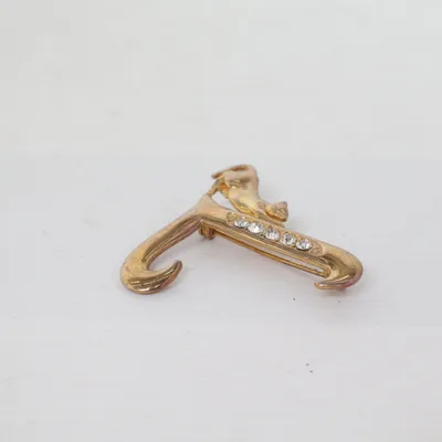 Broche (Goud) Onbekend materiaal