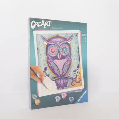Loisirs créatifs (Dreaming Owl) de Ravensburger