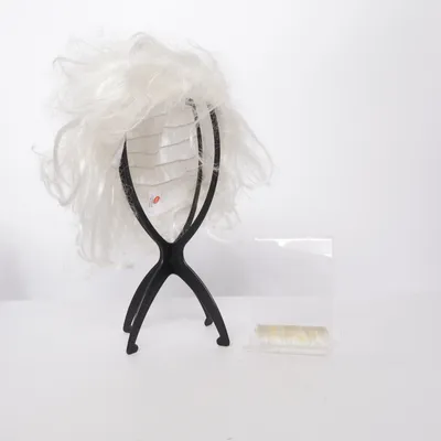 Wig (Einstein Wig) from Bristol Novelty