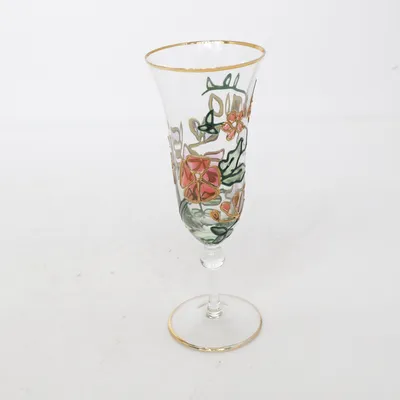 Champagneglas (Transparent, Flerfärgad)