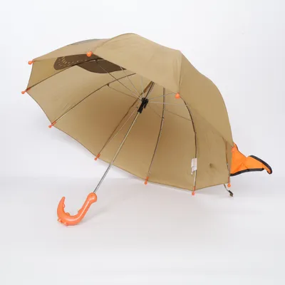 Paraply (Orange, Flerfärgad)