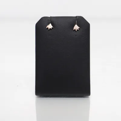 Oorbellen (Zilver) Onbekend materiaal