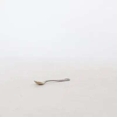 Teaspoon (Silver) from Gense