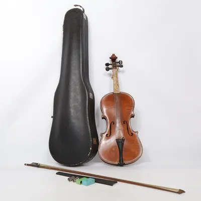 Violin (Brun) från Gold Label