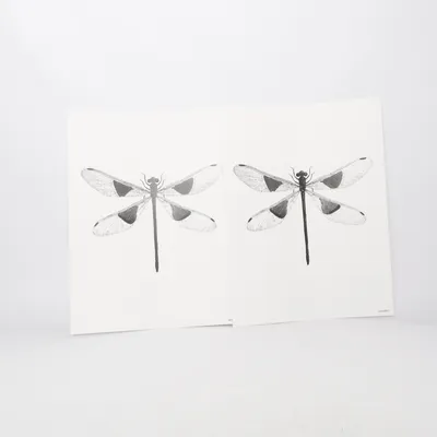 Poster från Vanilla Fly