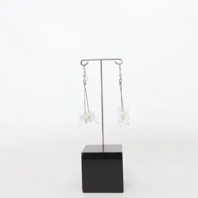 Boucles d'oreilles (Argent) Métal inconnu