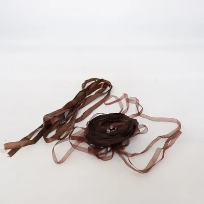 Brosch (Brun) Okänd metall