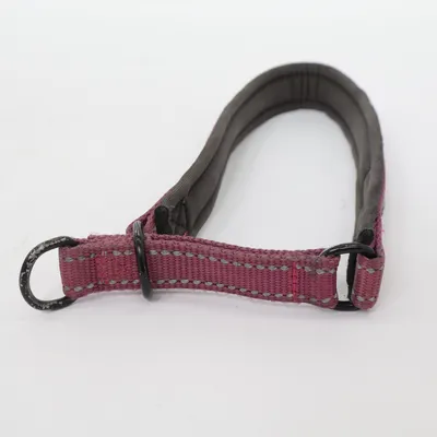Hundhalsband (Lila, Svart) från Showmaster