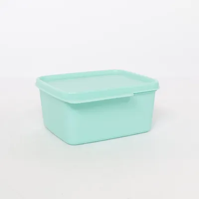 Lunch box (Turquoise) from Tupperware