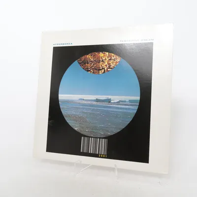 Vinyl record