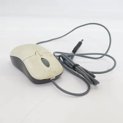 Souris d'ordinateur (Basic Optical Mouse) de Microsoft