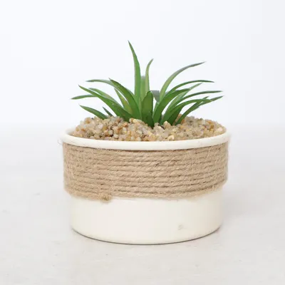 Konstgjord växt (Grön, Beige) från Rossmann