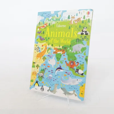 Children's book