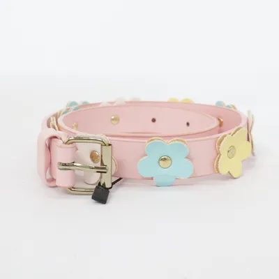 Riem (Roze, Meerkleurig)