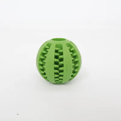 Hondenspeeltje (Groen)