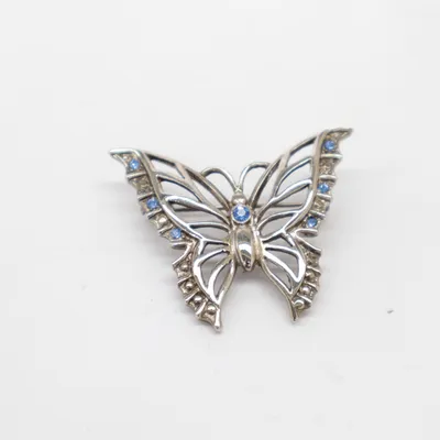 Broche (Zilver) Onbekend materiaal