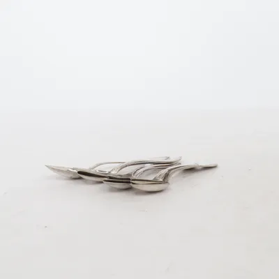 Teaspoon (Silver) from Gense
