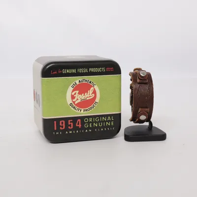 Horlogeband (Bruin) van Fossil