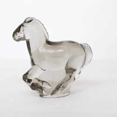 Figurine (Transparent) from WWF