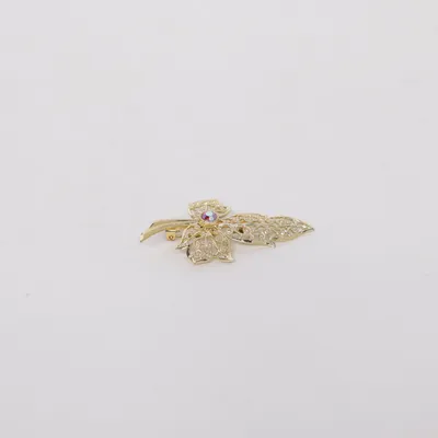 Broche (Goud) Onbekend materiaal