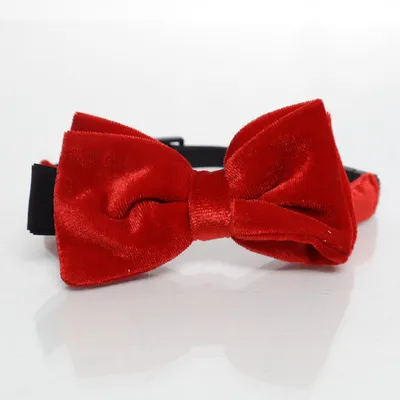 Vlinderdas (Rood) van H&M Polyester, Elastaan