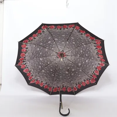 Paraplu (Zwart, Meerkleurig)
