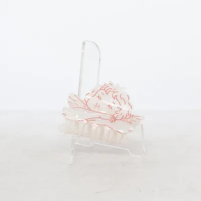 Hårklämma (Transparent, Röd)