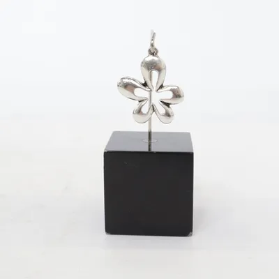 Hanger (Zilver) Onbekend materiaal