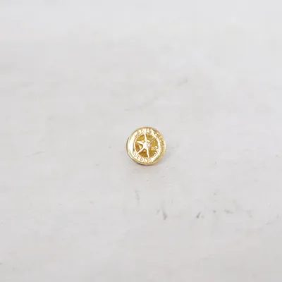 Pin (Guldfärgad) från Sverige Okänd metall