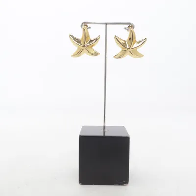 Earrings (Gold) Stainless steel