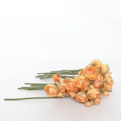 Kunstplant (Oranje, Groen)