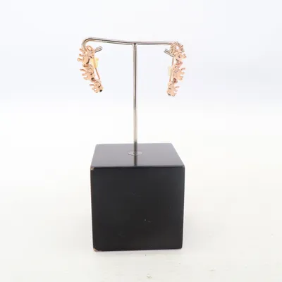 Oorbellen (Goud) Onbekend materiaal
