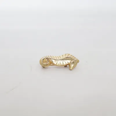 Broche (Goud) Onbekend materiaal