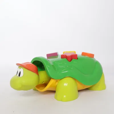 Activity toy (Green, Multicolored) from Fisher Price